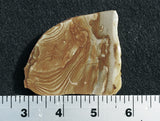 Oregon Picture Jasper Slab 30