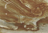 Oregon Picture Jasper Slab 30