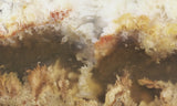 Graveyard Point Plume Agate Rock Slab 0108