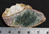 Morrisonite Jasper Rock Slab 7
