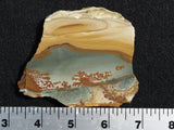 Owyhee Jasper Rock Slab 0027