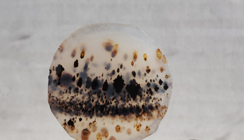 Montana Agate Rock Slab 387