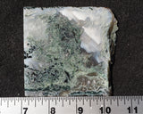 Oregon Moss Agate Rock Slab 044