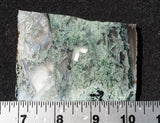 Oregon Moss Agate Rock Slab 18