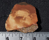 Bruneau Jasper Slab 54