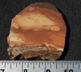 Bruneau Jasper Slab 52