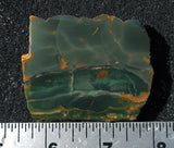Morrisonite Jasper Rock Slab 24