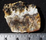 Graveyard Point Plume Agate Slab 63
