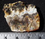 Graveyard Point Plume Agate Slab 63