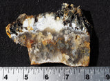 Graveyard Point Plume Agate Slab 97