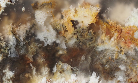 Graveyard Point Plume Agate Slab 64