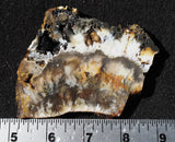 Graveyard Point Plume Agate Slab 64