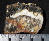 Graveyard Point Plume Agate Slab 99