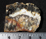 Graveyard Point Plume Agate Slab 99
