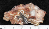 Mexican Crazy Lace Agate Slab 0307