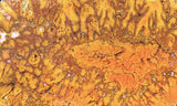 Cady Mountain Slab 0203