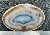 Brazilian Agate Polished Rock slab 0205
