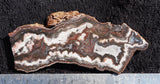 Cady Mountain Slab 43
