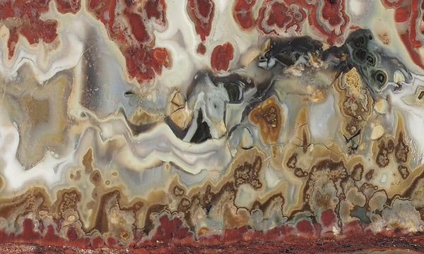 P1012073a_grande.jpg?v=1681063213