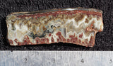 Idaho Sunset Jasper Slab 89