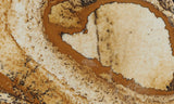 African Queen Picture Jasper Slab 45
