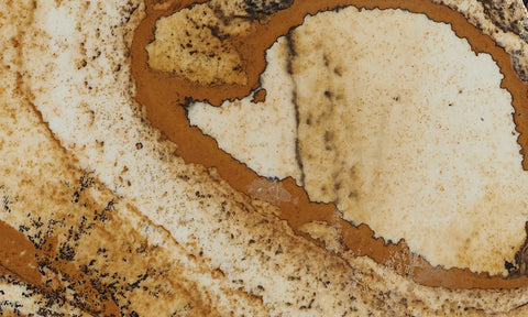 African Queen Picture Jasper Slab 45