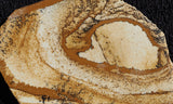 African Queen Picture Jasper Slab 45