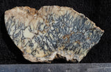 Australian Dendritic Opal Rock slab 69