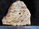 Bella Vista Agate Rock Slab 88