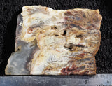 Bella Vista Agate Rock Slab 93