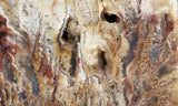 Bella Vista Agate Rock Slab 93
