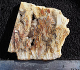 Bella Vista Agate Rock Slab 94