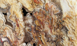 Bella Vista Agate Rock Slab 94
