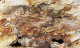 Bella Vista Agate Rock Slab 94