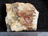 Bella Vista Agate Rock Slab 92