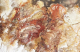 Bella Vista Agate Rock Slab 92