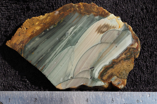 Blue Mountain Picture Jasper slab for display, lapidary, store cabbing