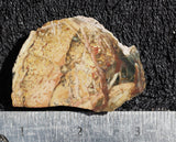 Morrisonite Jasper Rock Slab 12