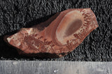 Apache Canyon Slab 17