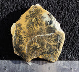 Dendritic Opal Rock Slab 10