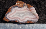Laguna Agate 99