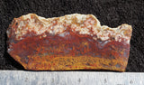 Mexican Moss Agate Rock Slab 88