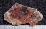 Mexican Moss Agate Rock Slab 89