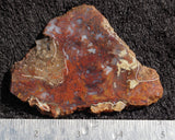 Mexican Moss Agate Rock Slab 86