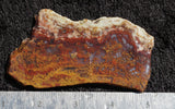 Mexican Moss Agate Rock Slab 92