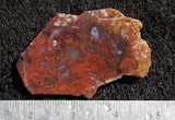Mexican Moss Agate Rock Slab 96