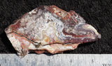Mexican Crazy Lace Agate Slab 0405