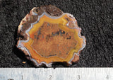 Laguna Agate 96