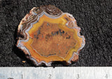 Laguna Agate 96