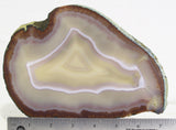 Brazilian Agate Polished Rock slab 06